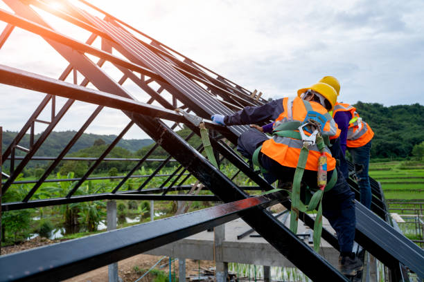 Best Storm Damage Roof Repair  in Roma, TX