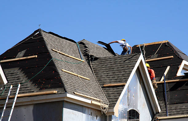 Best Commercial Roofing Services  in Roma, TX