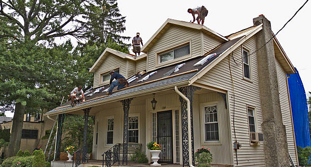 Best Roof Gutter Cleaning  in Roma, TX