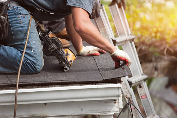 Tile Roofing Contractor in Roma, TX