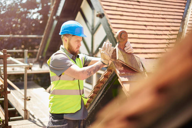 Roof Waterproofing Services in Roma, TX